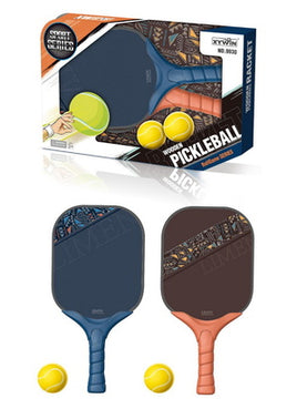 Pickleball Set