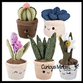 Plush:Succulent Plant Plush